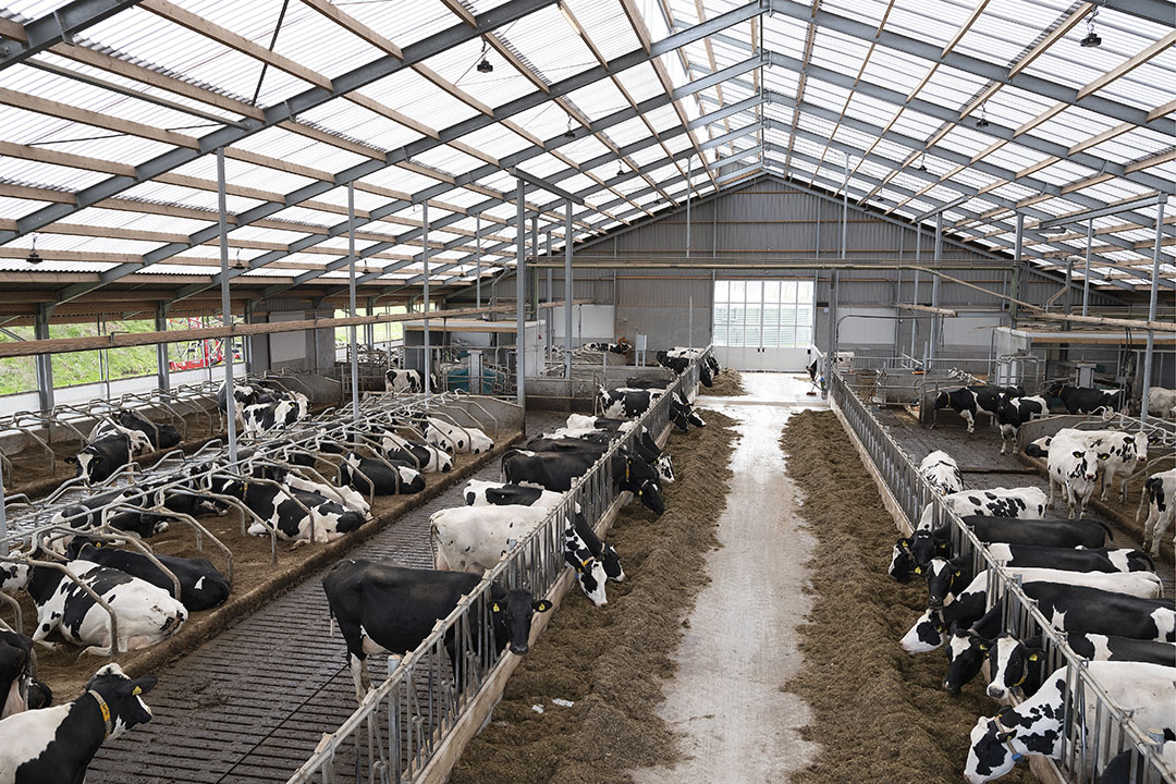 Modern dairy farm