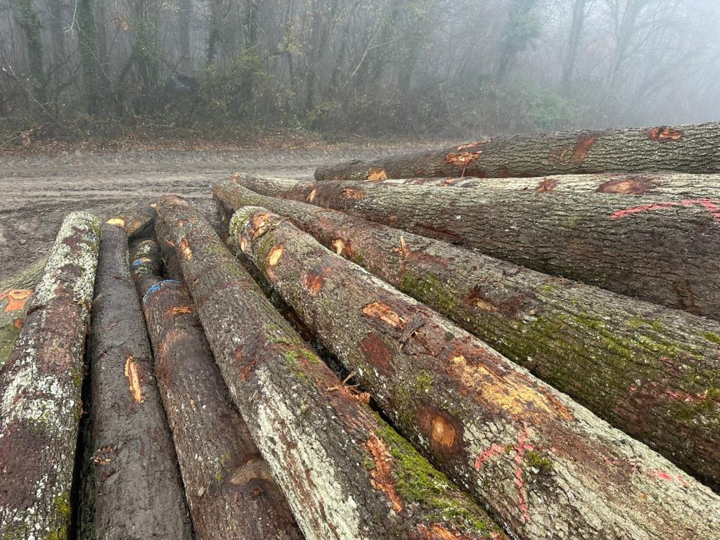 Timber yard operations