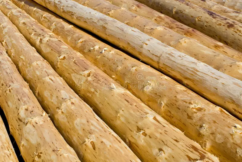 Peeled Logs